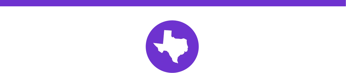 Vector icon of Texas