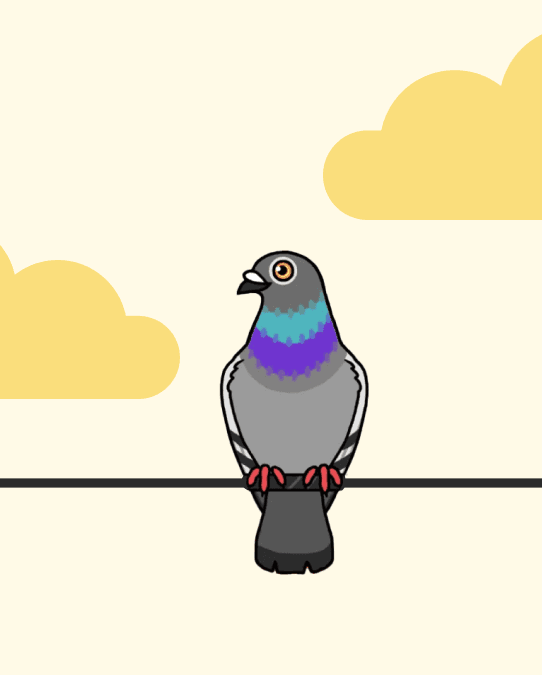 an illustrated pigeon stands on an electrical wire with a sky background.