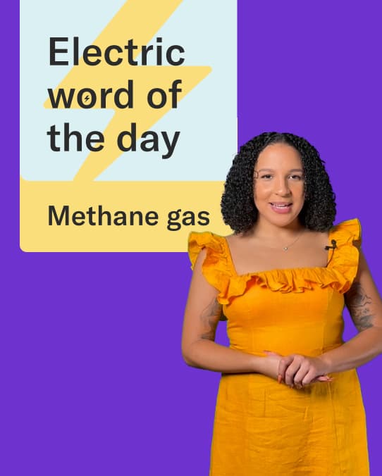 A person with dark curly hair and a yellow sleeveless dress stands in front of a sign with a lightning bolt that reads: "Electric word of the day, Methane gas."