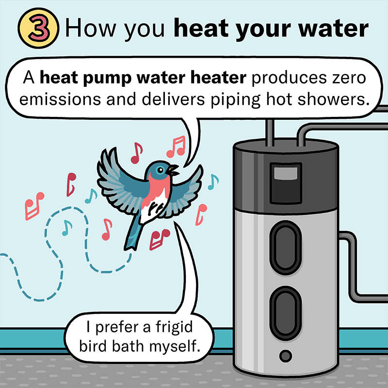 A colorful illustration of a songbird hovering next to a heat pump water heater