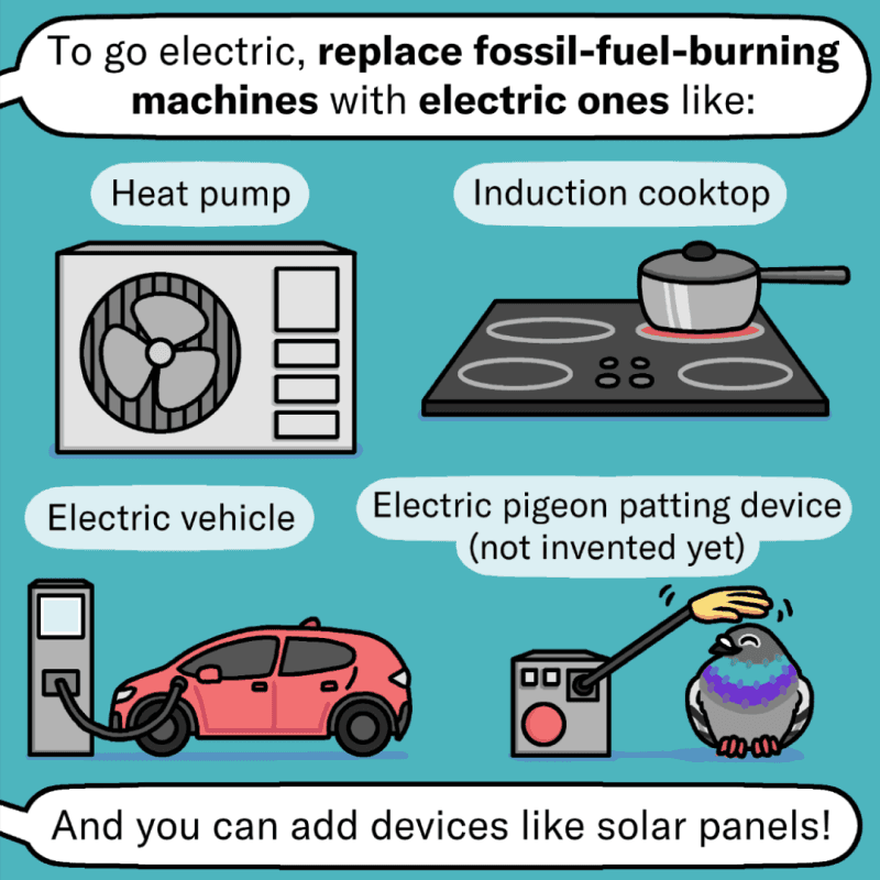 Labeled illustrations of a heat pump, an induction cooktop with a pot on one burner, a red electric vehicle plugged into a charger, and a machine patting a pigeon. Speech bubbles from the pigeon say, “To go electric, replace fossil-fuel-burning machines with electric ones like: heat pump, induction cooktop, electric vehicle, electric pigeon patting device (not invented yet). And you can add devices like solar panels!”