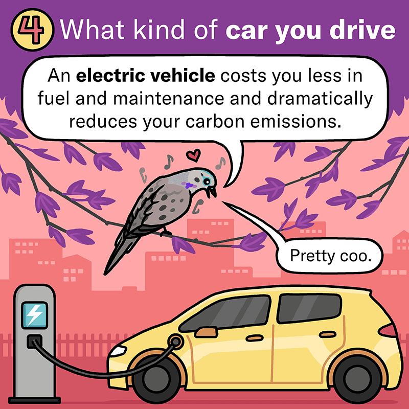 A colorful illustration of a pigeon sitting on a tree branch looking at an electric vehicle hooked up to a charging station
