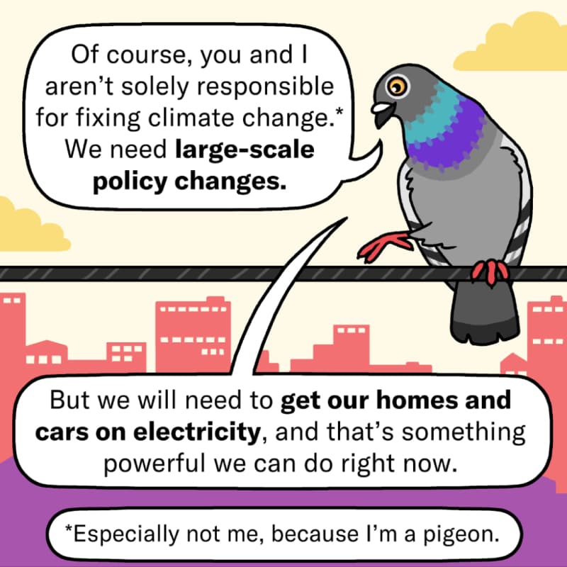 An illustrated pigeon perched on a wire with a city skyline behind them. The pigeon says, “Of course, you and I aren’t solely responsible for fixing climate change.* We need large-scale policy changes. But we will need to get our homes and cars on electricity, and that’s something power we can do right now. *Especially not me, because I’m a pigeon.”