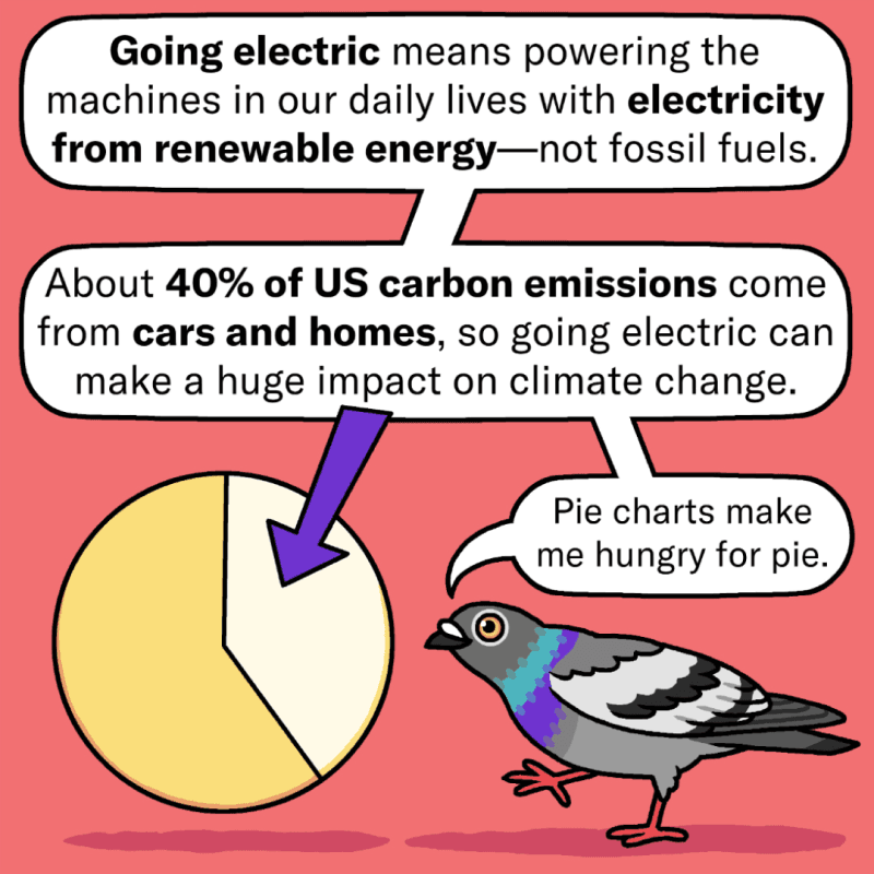 An illustrated pigeon stands next to a pie chart, pointing at the chart with one foot. The pigeon says, “Going electric means powering the machines in our daily lives with electricity from renewable energy — not fossil fuels. About 40% of US carbon emissions come from cars and homes, so going electric can make a huge impact on climate change. Pie charts make me hungry for pie.”