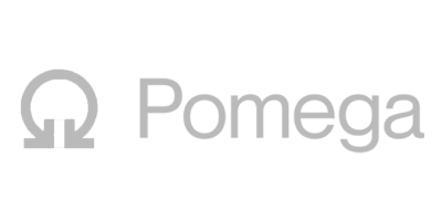 Pomega Energy Storage Tehchnologies logo
